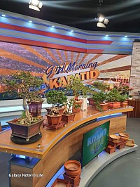 From bonsai artistry to the spotlight - Where honored to be invited on TV5's Good Morning Kapatid to share our products and passion for living arts